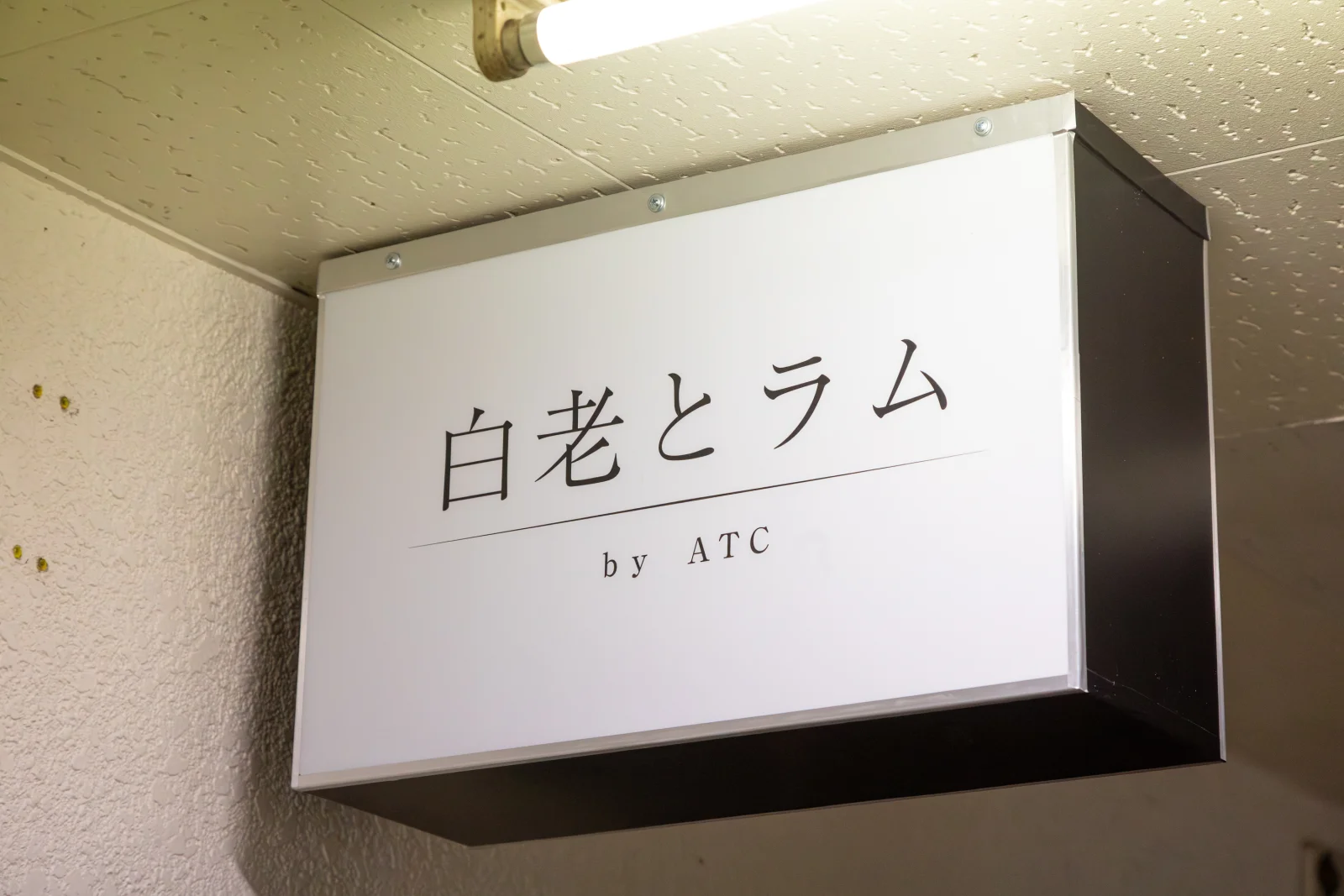 白老とラム